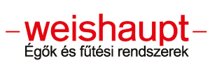GuardianGlass Logo tagline Color